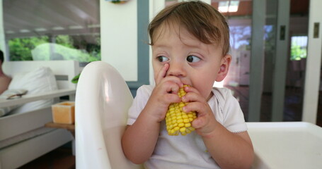 Cute bbay eating corn in highchair