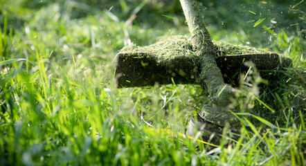 mowing the grass with a lawn mower, garden work concept background