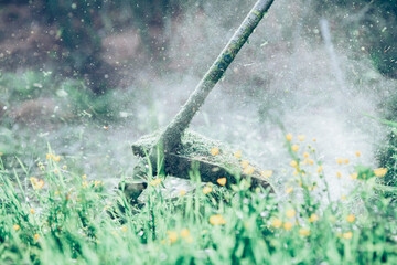 mowing the grass with a lawn mower, garden work concept background