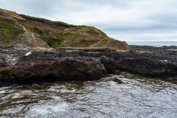 Tide pools along Oregon Coast