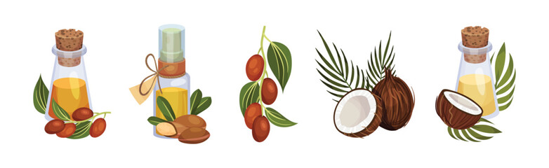 Coconut and Jojoba Organic Oil Extract in Jar with Green Branches Vector Set
