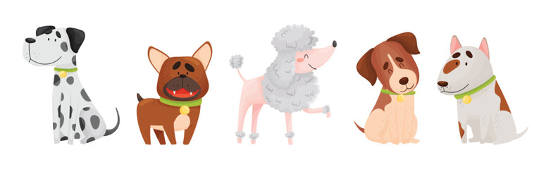 Cute Dog Puppy with Collar as Domestic Pet Vector Set