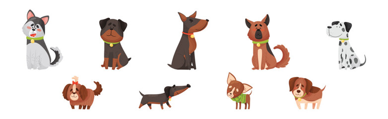 Cute Dog Puppy with Collar as Domestic Pet Vector Set