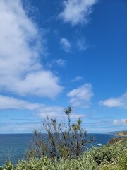 Ocean, Cliff, Boat Border