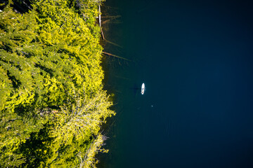 Drone shot of a woman paddleborading on Talapus Lake of the Alpine Lake Wilderness  with Cedars and Hemlock trees on the mountain side in Washington State.