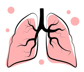 Human lungs on a white background. Anatomy. Vector illustration in doodle style