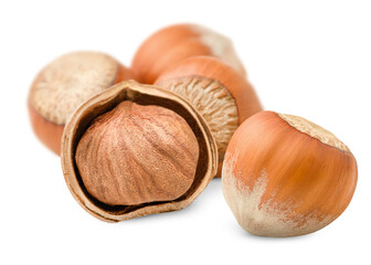 hazelnut nuts on a white isolated background, front view
