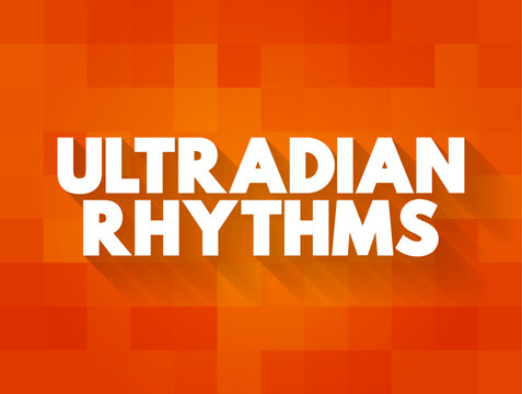 Ultradian rhythm is a recurrent period or cycle repeated throughout a 24-hour day, text concept background