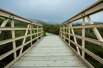 Obraz premium Rustic boardwalk leading through the wilderness and native forest at Montana de Oro State Park, California