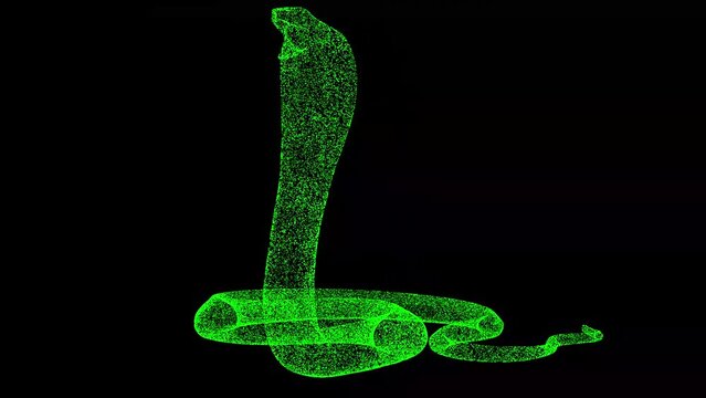 3D Snake Cobra rotates on black background. Object made of shimmering particles. Wild animals concept. For title, text, presentation. 3d animation 60 FPS