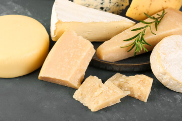 Different types of cheese on green background