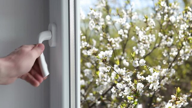 A man opens a window for ventilation, a flowering garden outside the window. Warm sunny morning in spring.