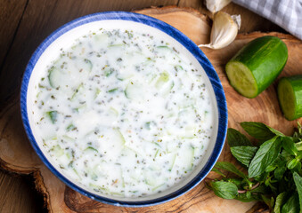 Traditional delicious appetizer; tzatziki (Turkish name; cacik)