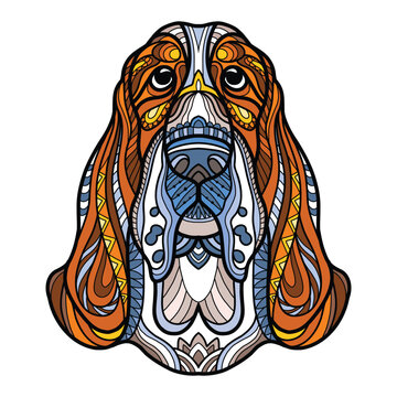 Basset hound head dog color tangle doodle vector illustration