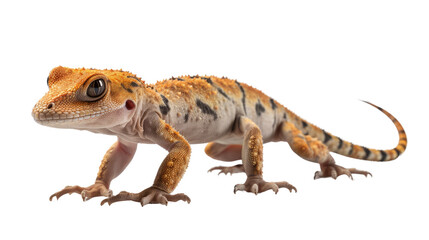 Obraz premium Gecko isolated on transparent background created with generative AI technology