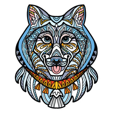 Syberian Husky head dog color tangle doodle vector illustration