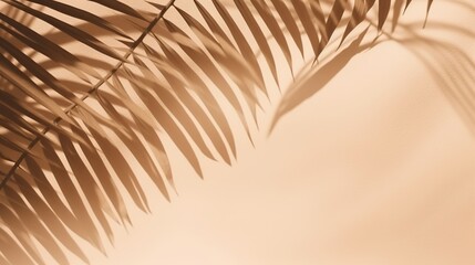 Fototapeta premium Beautiful abstract banner with green palm leaves shadow beige on white background. Natural leaf concept. Green natural background. Palm tree leaf texture. Summer concept. Abstract floral pattern.