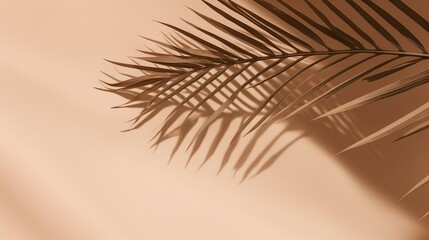 Obraz premium Beautiful abstract banner with green palm leaves shadow beige on white background. Natural leaf concept. Green natural background. Palm tree leaf texture. Summer concept. Abstract floral pattern.