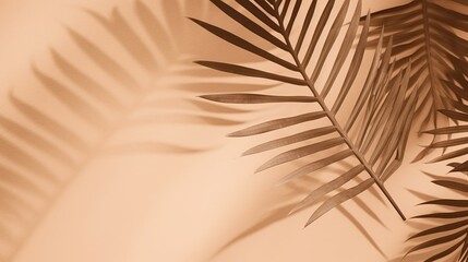 Fototapeta na wymiar Beautiful abstract banner with green palm leaves shadow beige on white background. Natural leaf concept. Green natural background. Palm tree leaf texture. Summer concept. Abstract floral pattern.