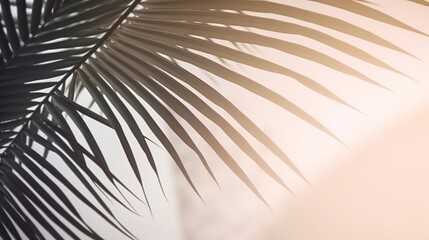 Fototapeta premium Beautiful abstract banner with green palm leaves shadow beige on white background. Natural leaf concept. Green natural background. Palm tree leaf texture. Summer concept. Abstract floral pattern.