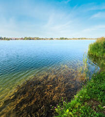 Summer lake calm rushy shore.