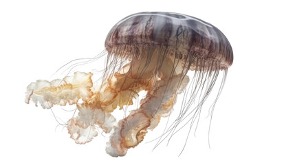Jellyfish isolated on transparent background created with generative AI technology