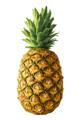 A tropical pineapple isolated on empty background