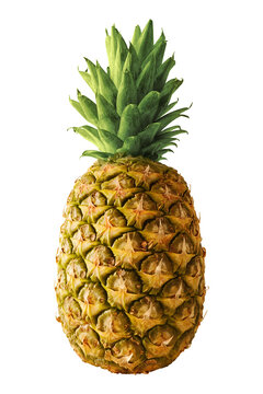 A tropical pineapple isolated on empty background