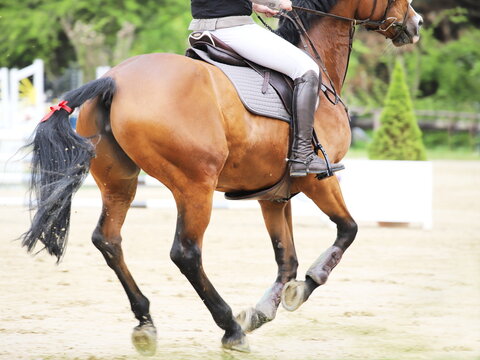 Pferd und Reiterin in Aktion beim Reitturnier
