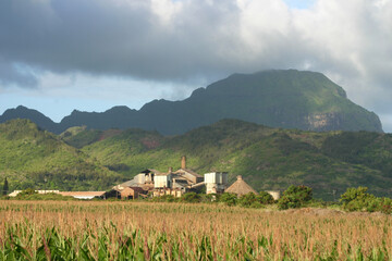 landscape with village in background