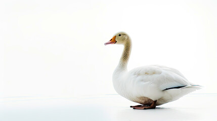 goose on minimalist white background, generative ai