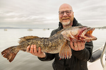 Happy ling cod fisherman holding a dead and bloody fish after his catch in the Puget Sound of...