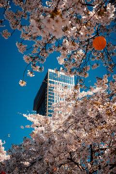 Gothenburg, Sweden - April 22, 2023: Clarion Hotel Draken is a new luxury hotel in central Gothenburg, Sweden.