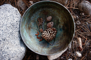 Pine cones in an old copper bowl. Still life photography. 