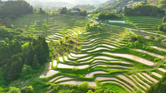 Asian terraced rice fields in spring, aerial view of flooded Asian rice fields in the mountains in Japan, organic agriculture and sustainable farming in Asia Generative AI