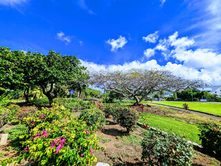 Exploring the Rich History of Queen Kapiolani Garden and Park on Oahu