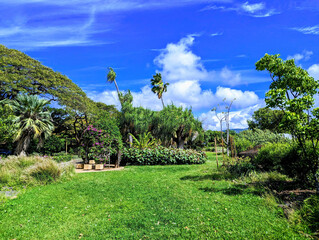 Obraz premium Exploring the Rich History of Queen Kapiolani Garden and Park on Oahu