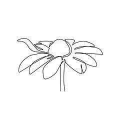 a beautiful flower on a white background in continuous line art drawing style. design with Minimalist black linear design isolated on white background. Plant themes Vector illustration	