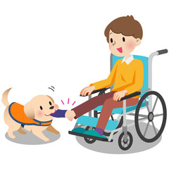 車椅子の男性の靴下を脱がせる介助犬