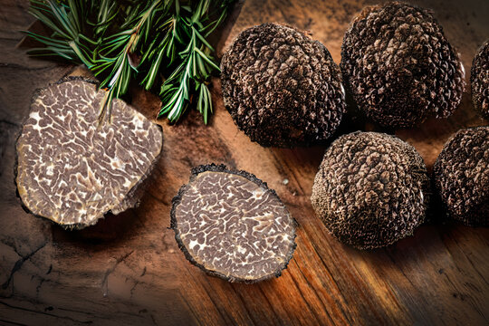 The truffle mushroom for food concept, Ai Generative image.