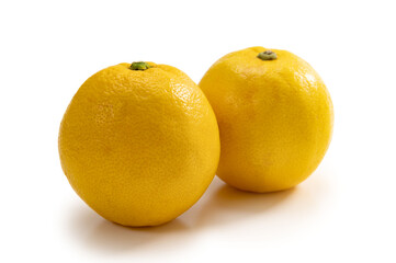 柑橘類の甘いレモン、レモネード