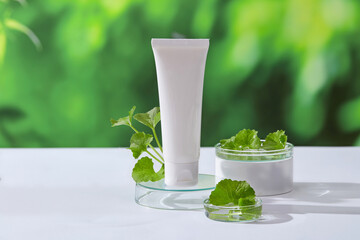 Transparent round podium with white tube standing on, natural green fresh background. Gotu kola (Centella asiatica) has powerful antioxidant activity