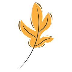 leaves isolated on white