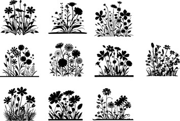 Wildflower Vector Set Black and White