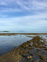 Beautiful morning at Pemuteran beach, bali, with blue sky and clear weather.