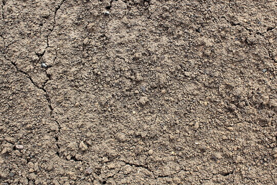 The texture of the ground soil before planting a vegetable garden.