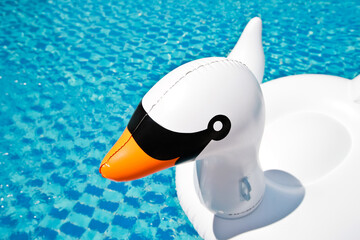 Obraz premium Hotel swimming pool with swan tubes