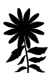 Orange coneflower silhouette
