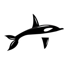 orca whale mammal