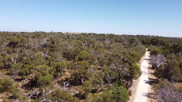 Trail Through The Bush, Aerial Pan Left Clip Over Treetops, Perth Australia
